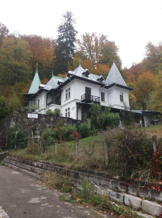 Il Piccolo Castello Buşteni Exteriér fotografie