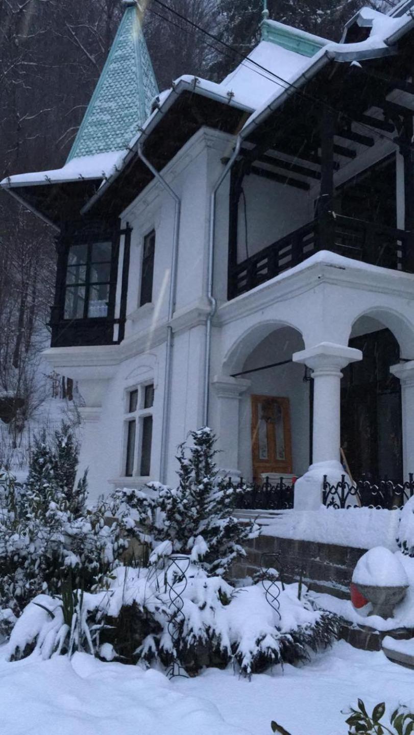 Il Piccolo Castello Buşteni Exteriér fotografie