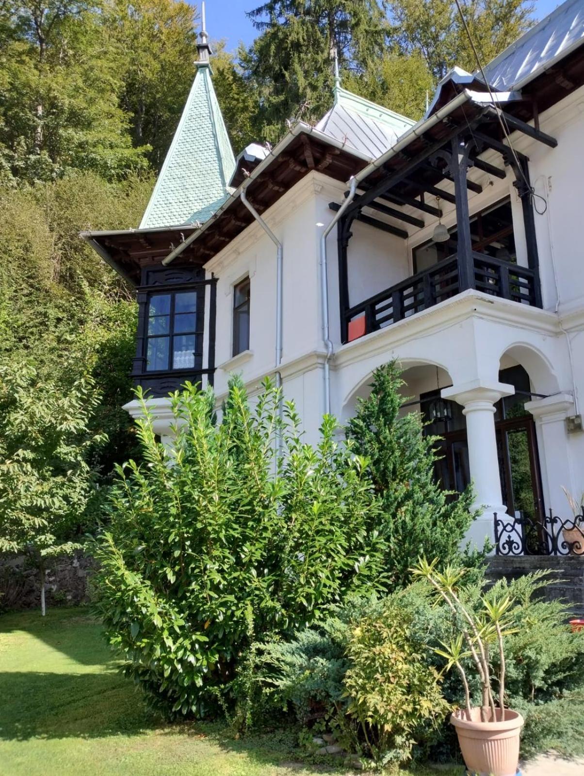 Il Piccolo Castello Buşteni Exteriér fotografie