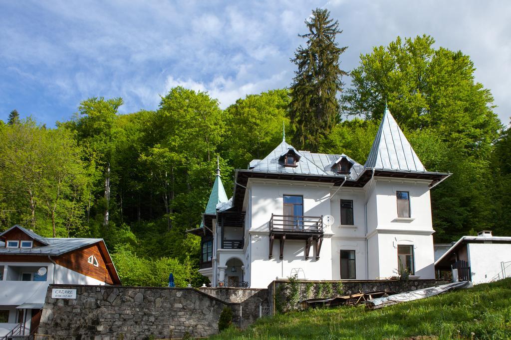 Il Piccolo Castello Buşteni Exteriér fotografie